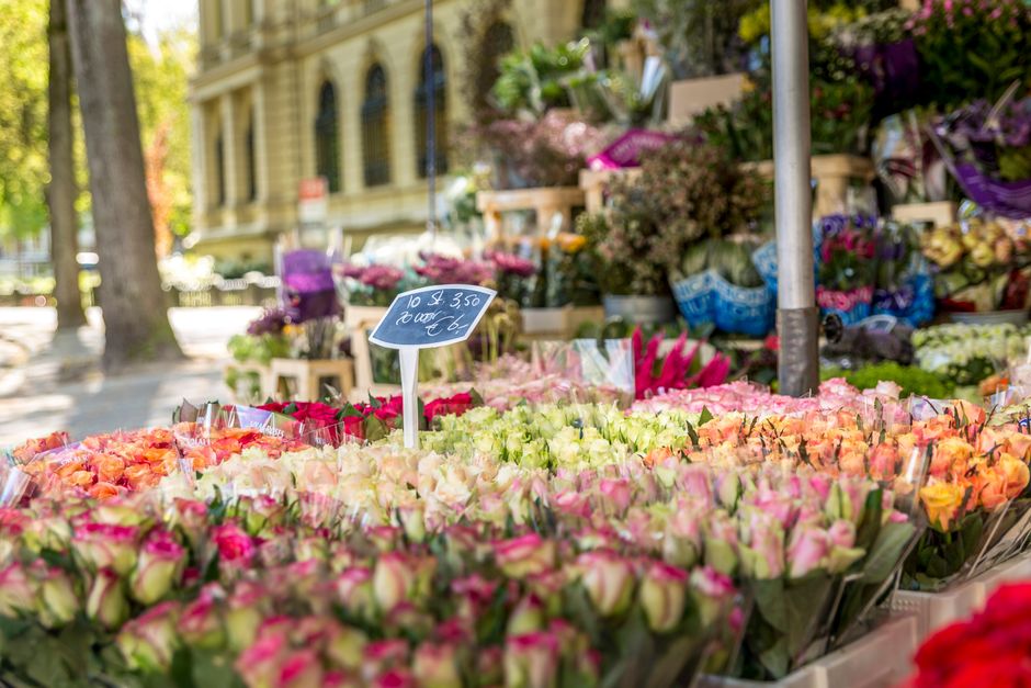 A vibrant outdoor flower market display featuring a variety of fresh, colorful roses arranged in bouquets with shades of pink, peach, and white, wrapped in clear cellophane. The bouquets are neatly ar