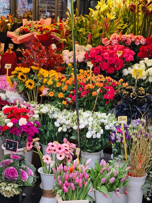 A vibrant display of fresh flowers at a flower shop, featuring tulips in shades of pink and purple in a white pot at the front, alongside white and pink daisies. Behind them, there are clusters of bri