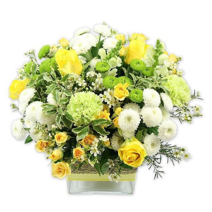 A lush, dome-shaped floral arrangement in joyful shades of yellow, white, and lime green is artfully composed in a clear, low, square glass vase, photographed against a bright white background so that the colours appear clean and vivid. Plump yellow roses anchor the design, their velvety petals unfolding in elegant spirals, while some buds remain partially closed, hinting at blossoms still to come. Surrounding them, clusters of yellow spray roses add layers of smaller blooms, enhancing the bouquet's richness. The composition is interspersed with generous white pompom chrysanthemums, each densely packed with tiny petals that form soft, rounded mounds, providing both volume and a comforting, cloud-like texture. Small lime green button chrysanthemums, almost perfectly spherical, sit like cheerful dots of colour, and larger, frilly pale green blooms-resembling ruffled carnations or specialty green mums-soften the transitions between yellow and white. A tapestry of foliage runs throughout: glossy deep green leaves, variegated leaves edged in creamy white, and slender sprigs of darker filler greens weave through the flowers, framing them and lending a natural garden feel. Tiny white filler flowers, similar to waxflower or gypsophila, are tucked in between, giving the bouquet a gentle sparkle. The glass vase reveals the stems neatly gathered inside and is wrapped around its middle with a rustic band of woven natural material, finished with a bright lime green ribbon that ties the entire colour palette together. The overall impression is one of brightness, freshness, and quiet celebration, reminiscent of a cheerful morning stroll from White City station towards the local cafes. It feels perfectly suited to birthdays, new home gifts in nearby developments, or simply to bring a burst of positivity into a living space.